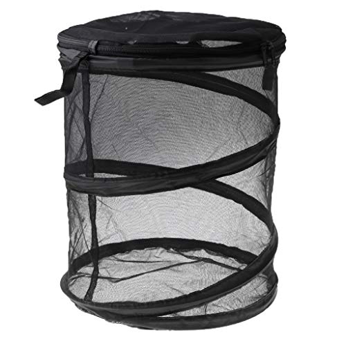 Habitat Science Kits - Collapsible Butterfly Habitat Cage- Insect Bug Terrarium - 30x35cm