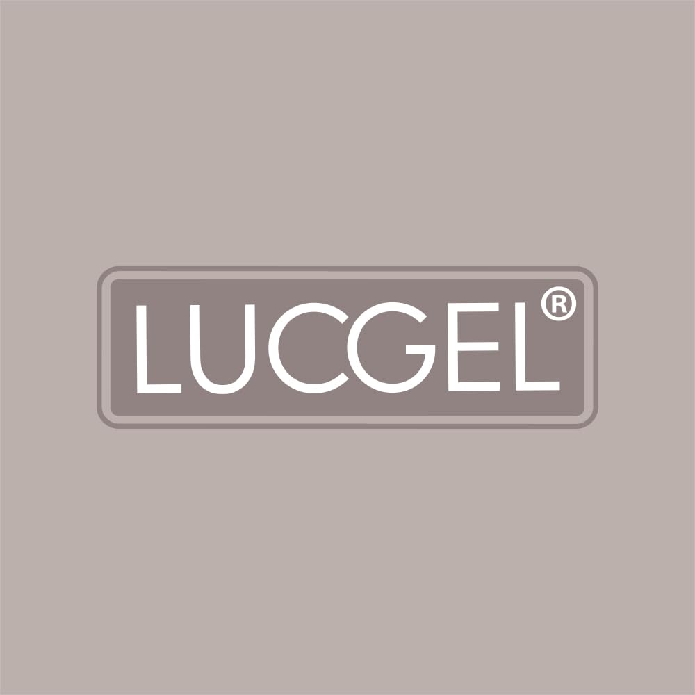 Lucgel Lavaporzionatore Acciaio Inox per Gelaterie 27x11 H12 Cm