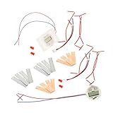 MAGICLULU Selbstgemacht Fruchtbatterie Satz Elektronisches Lehrmaterial Für Kinder Wissenschafts Experimentierkasten Mit Kartoffeluhr Und Umweltprojekt