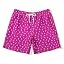 Hot Pink Pineapple