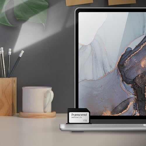 Image of Transcend 1TB JDL330 JetDrive Lite 330 Expansion Card for MacBook Pro 2021 TS1TJDL330