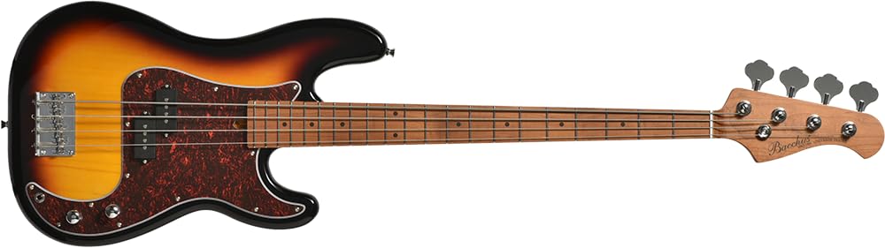 Bacchus バッカス BPB-1DX RSM/M 3TS 楽天市場】Bacchus BPB-1DX RSM/M 選べるアンプ初心者セット