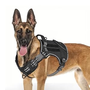 ETACCU Harnais Tactique pour Chien de Grande Taille sans Traction avec poignée et Clip Avant, Gilet Militaire K9 réglable et Robuste pour Grande Race – Dogue Allemand, Berger Allemand (XL)