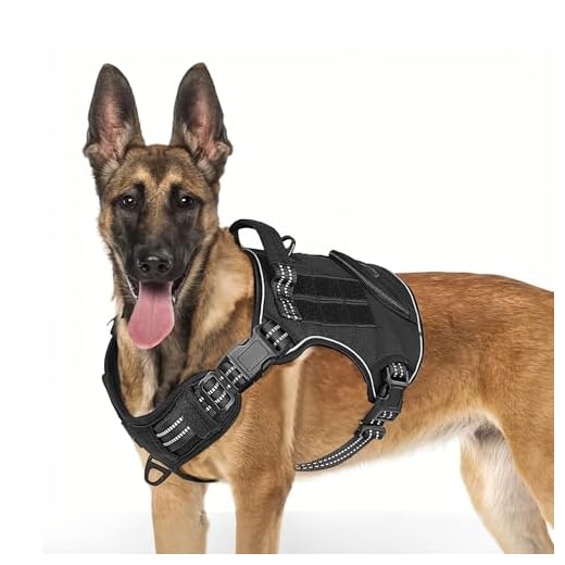 ETACCU Harnais Tactique pour Chien de Grande Taille sans Traction avec poignée et Clip Avant, Gilet Militaire réglable et Robuste pour Grande Race – Dogue Allemand, Berger Allemand (XL)