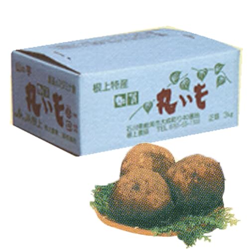 JA根上 加賀丸いも 3kg