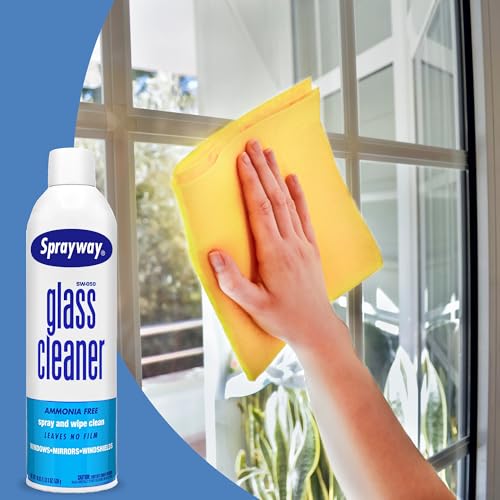 Sprayway Glass Cleaner with Foaming Spray for a Streak-Free Shine for Home and Automotive Use, 19 Fl Oz. (2 Pack)
