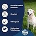 DR.CLAUDER’S - Best Choice Senior Light | Trockenfutter für ältere Hunde mit geringem Energiebedarf zur Gewichtskontrolle. Weizenfreies Alleinfutter im Beutel | 12,5kg Truthahn&Reis