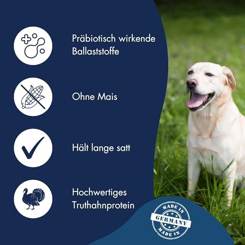 DR.CLAUDER’S - Best Choice Senior Light | Trockenfutter für ältere Hunde mit geringem Energiebedarf zur Gewichtskontrolle. Weizenfreies Alleinfutter im Beutel | 12,5kg Truthahn&Reis