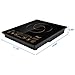 Rosewill 1800 Watt 5 Pre-Programmed Settings Induction Cooker Cooktop, Included 10” 3.5 Qt 18-8 Stainless Steel Pot, Gold, RHAI-16002