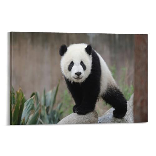 風景ポスター かわいいパンダの赤ちゃんポスター ホーム装飾 パネル 壁アート 現代壁掛け 絵画 版画 芸術作品 インテリア24x36inch(60x90cm)