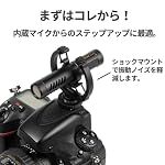 41Sss3sHT8L. SL500 . SS150