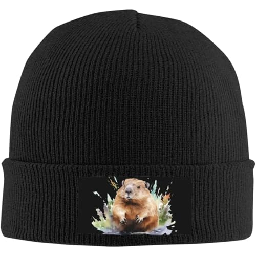 Bonnets unisexes à manchettes contre le vent et le froid hivernal