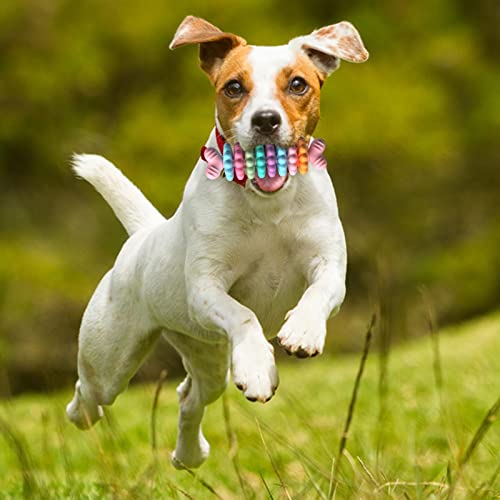 Brinquedos mastigáveis para filhotes – Brinquedos mastigáveis flexíveis para dentição e calmantes |