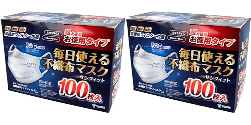 gsDz}XN ӂTCY 100 (1)