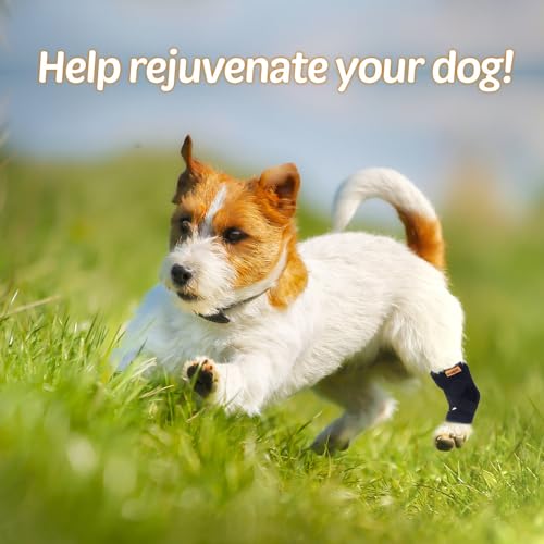 COMFPET Hundehalsbandage für hintere Sprunggelenk, Hund Bein Unterstützung Wrap mit Metall-Streifen, Hinterbein Wrap Protector, Hund Bein Joint Sleeve, Hund Verstauchungen zu verhindern-M (5'-7')