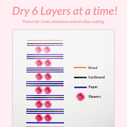 Flower Press Kit Art Set Dried Flowers Leaf Press Plant Tool Set Handicrafts Outdoor Learning 6 Layers Nature Press Kit Including Instructions #TOP5