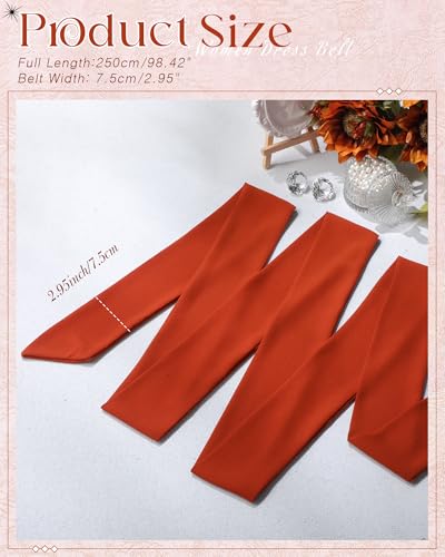 Image of Glitopper Women Chiffon Sash Belt Dress Sash Waist Bridal Wedding Belt 50s Accessories 3'' Wide
