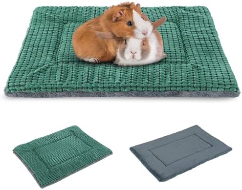 BVAGSS Orthopädisches Hundebett, Waschbar Hundekissen flauschig Hundematte, Umkehrbar Weiche und Warme Hundematte für klein mittel große Hunde XH079 (54x33x4cm,Green)