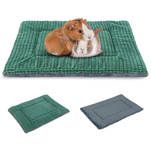 BVAGSS Orthopädisches Hundebett, Waschbar Hundekissen flauschig Hundematte, Umkehrbar Weiche und Warme Hundematte für klein mittel große Hunde XH079 (54x33x4cm, Green)
