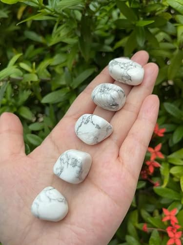GAF TREASURES 5 Pcs White Howlite Tumbled Stones, Polished Natural White Howlite Gemstone, White Howlite Healing Crystals (White Howlite)