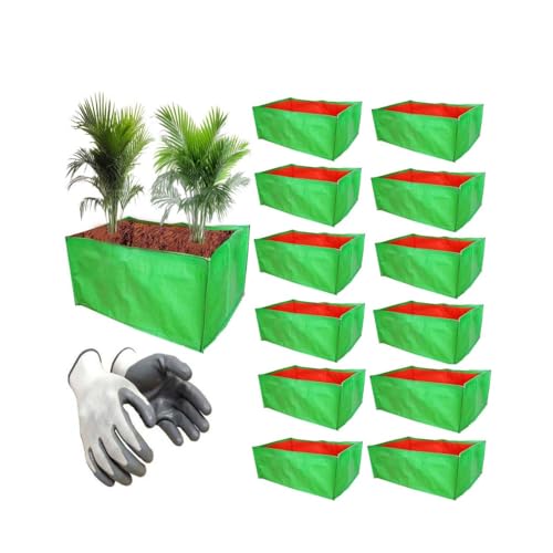SAI PRASEEDA 24 X 12 X 9 Inch Green Rectangular Grow Bags_Pack of 12_HDPE_280 GSM_for Balcony_Home_Terrace Gardening_Plant Bags_Container Bags with 1 Pair of Gloves SRG6 (B0D93VH7F3) Amazon Price History, Amazon Price Tracker