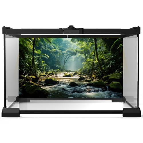 Image of Jungle Rainforest Aquarium Background Tranquil Stream Meanders Fish Tank Background Vibrant Foliage Dense Green Forest Reptile Tank Backgrounds Foggy Misty Trees Reptile Enclosure Backgrounds 72x18in