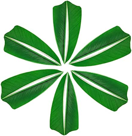 ZZYB 50pcs Arrow Turkey Feathers Archery Arrow Fletches 3 inch Natural Feather Fletching Right Wing for DIY Hunting Carbon Arrows (Green)