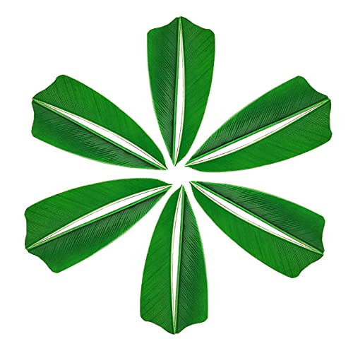 Zzyb 50Pcs Arrow Turkey Feathers Archery Arrow Fletches 3 Inch Natural Feather Fletching Right Wing For Diy Hunting Carbon Arrows (Green) #TOP1