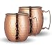 Chef's Star Set of 2 Handmade Hammered Copper Moscow Mule Mug and 2 Copper Shot Glasses - 100% Pure Copper with Brass Handle - Hammered Moscow Mule Mug Cup