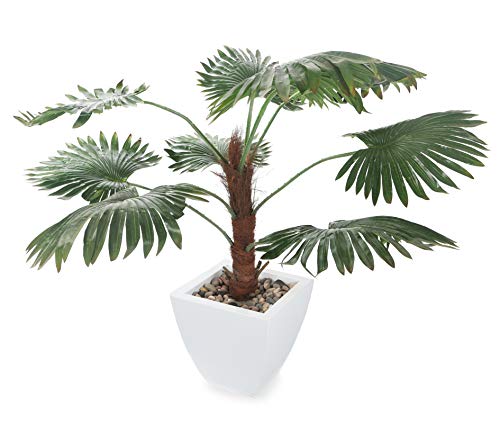 Closer2Nature 3ft 6ft Artificial Plant Fan Palm Tree; Green Indoor Plant for Home Decor - Realistic Artificial Plants Palm Tree; Perfect Outdoor Plants or Indoor Plant for Kitchen, Lounge and Office