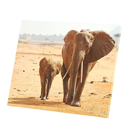 Tableau éléphant et son petit cadeau idéal déco poster toile savane Afrique 73 cm x 60 cm