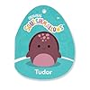 Squishmallows Original 8in Tudor The Maroon Leatherback Turtle – Official Jazwares Plush (Little) #5