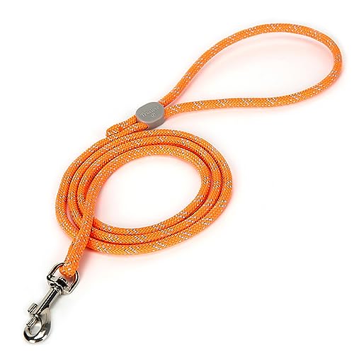 J&C Paradise nYt[[h {KX nhߕt ֗ y  V^ ^ ^ 1.2 p[h TRUELOVE (S, IW)