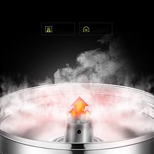 Miniatura 6 de SHUAN Vaporizador eléctrico de acero inoxidable multifunción multifunción de 10 L de gran capacidad de 1500 W