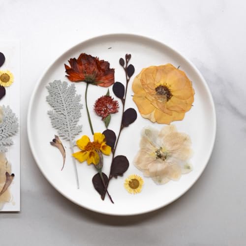 Flores Secas Prensadas Naturales para Manualidades 40 Piezas miniatura 3