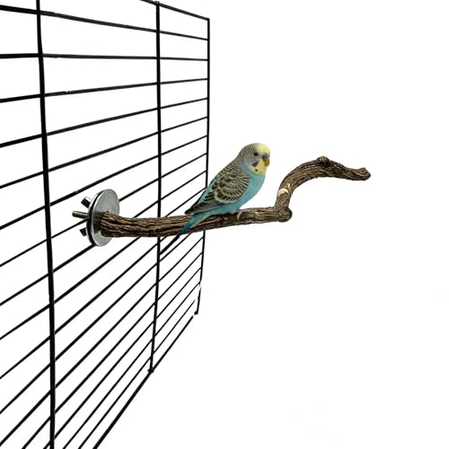 Bird Perches for Cage 1PCS Parrot Perch Wooden Bird Stand Cage Accessories for Budgies Cockatiels Finches Lovebirds Parakeet (Burlywood, 1 PCS)