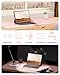 YSAGi Leather Desk Protector, Office Mat, Large Mouse Mat, Non-Slip PU Leather Blotter, Laptop Pad, Waterproof Writing Pad for Office and Home (Light Pink, 23.6