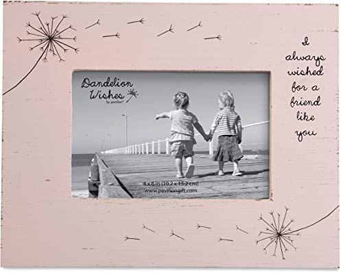 Dandelion Wishes 77152 Picture Frame Friend Like You Pink Rustic 4x6 Picture Frame