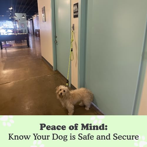 Canine Hitch- Secure Dog Leash Parking Indoor- Outdoor Wall Hook with Clip - Tie Out Stainless Steel - Practical Lead Management for Home & Business - Image 3