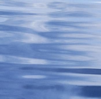 Hardcover Jean Sibelius and Olin Downes: Walking the Talk Book