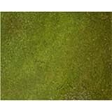 MARSHALLTOWN The Premier Line ESLICHEN4 4-Ounce Lichen Elements Concrete Stain