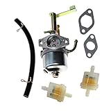 Shnile Carburetor Kit for Amico AG1500 Gasoline Alton AT04101 900 1000 Watts Generator