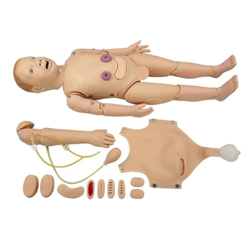 IȐVŌV~[V̗KɓKx̗c CPR эxȃPA g[jO }lLVPA V~[^[