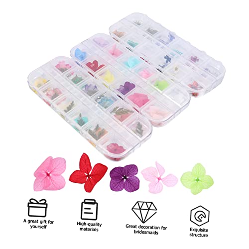 COHEALI 9 Caixas De Fundição Para Sabão Folhas Secas Acessórios Fazendo Flor Vela D Moldes De Adesiv