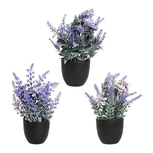 Rieoany 3 Piezas Plantas Artificiales Decorativas Pequeñas, Mini Lavanda Plástico Planta Artificial Pequeña, Adecuado Para Decoración De Escritorio, Baño, Oficina Y Hogar Morado Rieoany 3 Piezas Plantas Artificiales Decorativas Pequeñas, Mini Lavanda Plástico Planta Artificial Pequeña, Adecuado Para Decoración De Escritorio, Baño, Oficina Y Hogar Morado