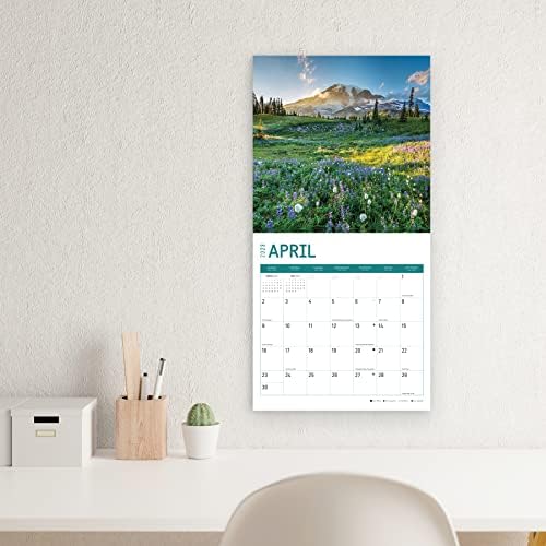 2023 Wildflowers Monthly Wall Calendar by Bright Day, 12 x 12 Inch, Nature Garden