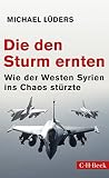 Die den Sturm ernten: Wie der Westen Syrien ins Chaos stürzte (Beck Paperback 6273) (German Edition)