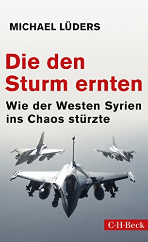 Die den Sturm ernten: Wie der Westen Syrien ins Chaos stürzte (Beck Paperback 6273) (German Edition)