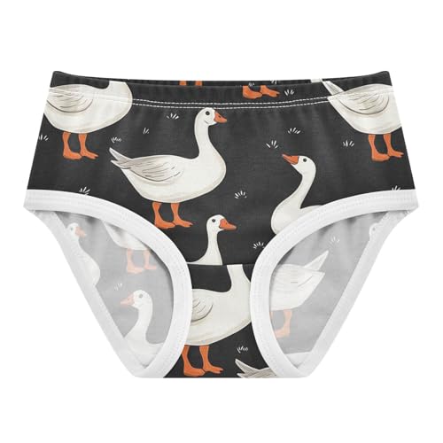 Wusikd Farm Animal Girls' Underwear Cotton Goose Duck Girls Briefs Soft Toddler Underwear 2T