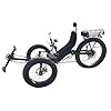 cozytrikes Adult Motorized Electric Tricycle | Heavy-Duty Three-Wheel Electric Bike for Adults | 1000W Mobility Trike with Cargo Baskets | Electric Cycle Bike for Adults #1